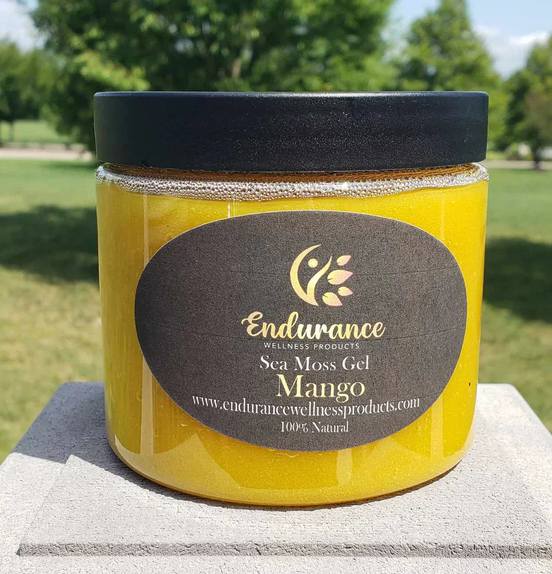 How to Make Sea Moss Gel