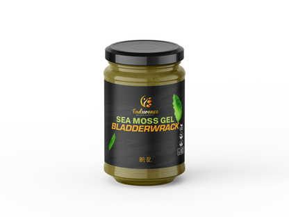 Front view of Endurance Wellness Wildcrafted Sea Moss and Bladderwrack Gel jar on a white background