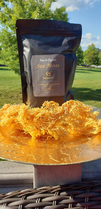 Black bag of Bulk 16oz Organic Dried Sea Moss on a round table with dried sea moss at the base, with lawn and trees in the background