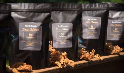 Four front-facing Premium Organic Dried Sea Moss packages displayed side by side with sea moss arranged along the bottom of each package